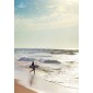 7suns Poster B1 Surfer