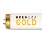 Bermuda Gold 800 33/160W Tanning lamp 