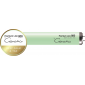 Cosmedico Premium Line 800 Deep Calm & Tan R142 160W Tanning lamp 
